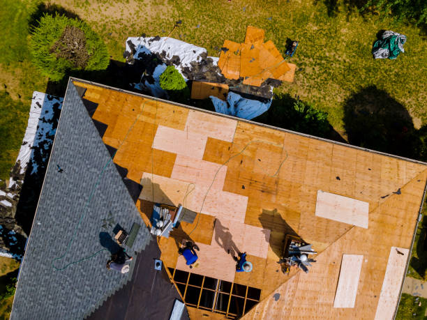 Best Roof Gutter Cleaning  in Seven Lakes, NC